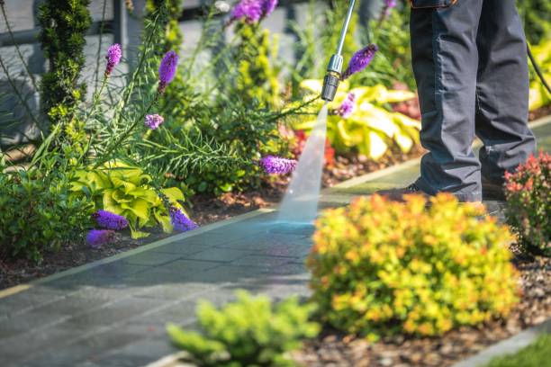 Best Patio and Deck Pressure Washing  in Atlanta, TX
