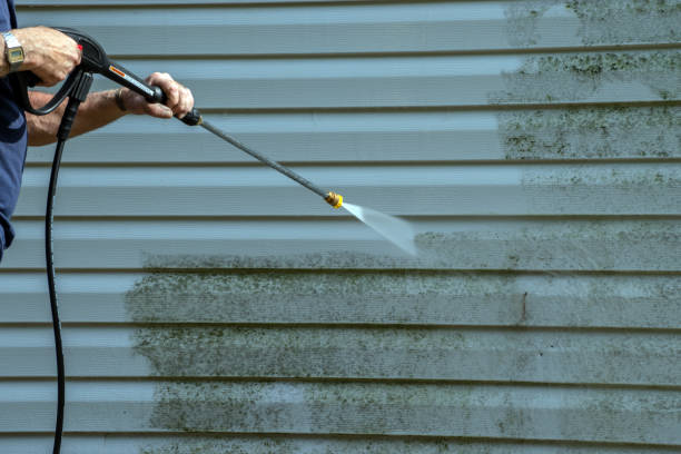 Best Graffiti Removal  in Atlanta, TX